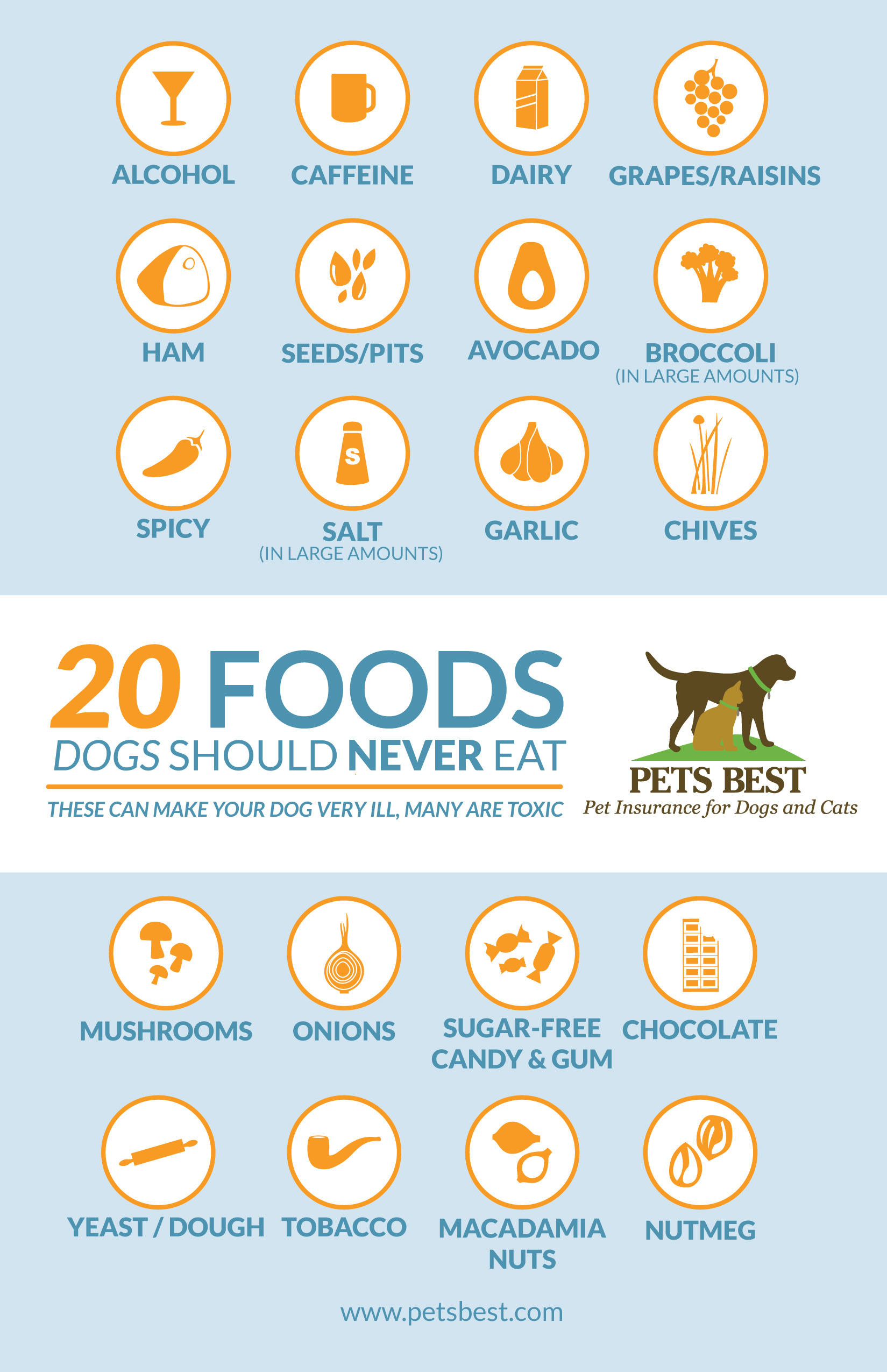 What your pet eat. Собачья диета инфографика. Инфографика собаки. Что полезно для здоровья собакам. Какими фруктами можно кормить собаку.